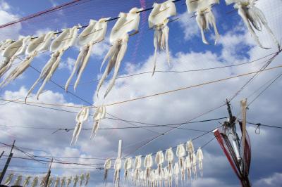 イカ、エヴァ、島