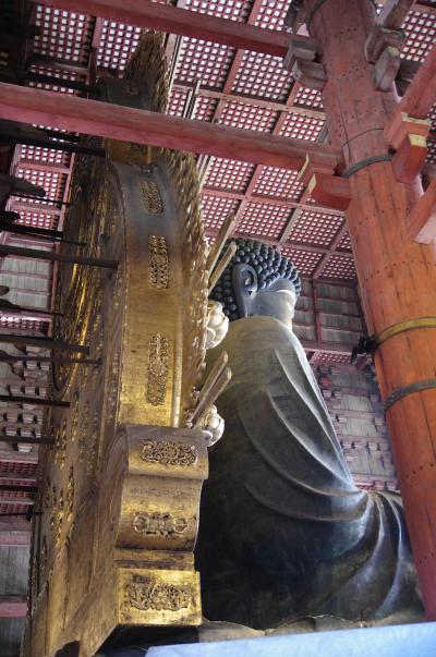 2016年冬季休暇1月2日　青春１８きっぷで行く奈良・京都世界遺産巡り旅行