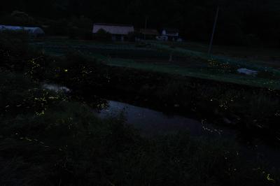 018島流し　川根のホタル祭り