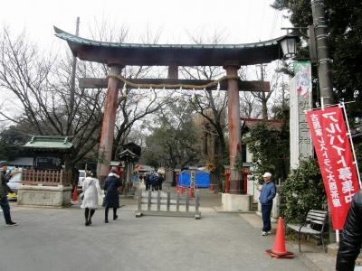 ウォーキングで鷲宮神社に初詣