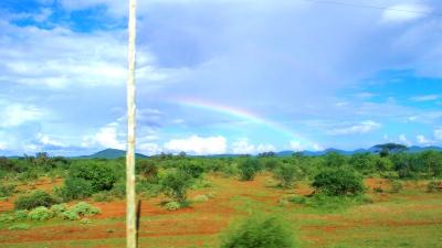 再びアフリカへ ― 緑美しい、人懐こい人々の国、ケニア、タンザニア旅行