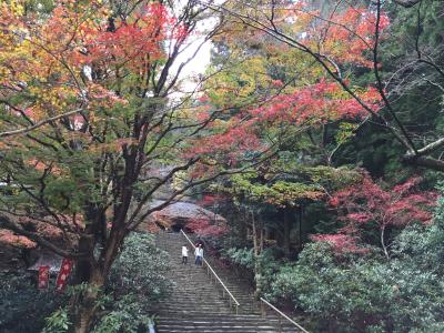 紅葉の奈良一人旅　（3日目）室生寺～名古屋～東京