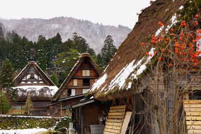 2015冬の北陸めぐる旅vol.3（合掌造りの白川郷）