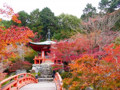 【国内204】秋の京都への出張　　ホテルグランヴィア京都　高騰にびっくり　紅葉の醍醐寺を訪れる