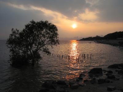 深セン福田区★紅樹林海濱生態公園で夕方のお散歩