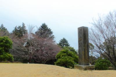 【石垣山城】豊臣秀吉晩年の奇策、小田原一夜城