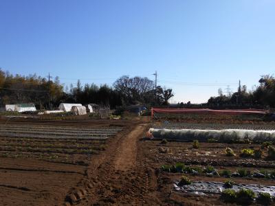 下総南生実　第３代古河公方足利高基に対抗するため上総武田氏が僧籍の実弟を還俗させ足利義明（小弓公方）とした『小弓城』訪問