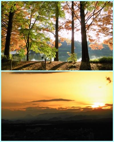 県立中央公園と県庁展望室ロビー