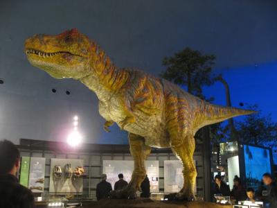 ’１６　冬の北陸グルメ旅２２　福井（恐竜博物館 館内見学）