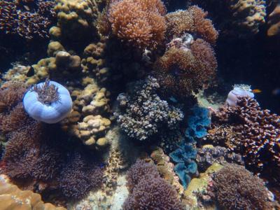 年末年始旅@Koh Lipe & ちょっとマレーシア②