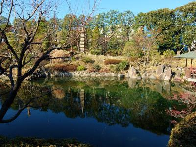 新春　目白庭園　池を巡る