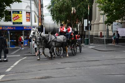 独り上手なオッサンの休暇・ニュージーランド航空ビジネスプレミアで行くメルボルンへの旅②連日30℃超えの毎日、クリスマスシーズンに夏バテになっちゃいました。あ~しんど!!
