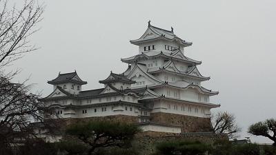 平成の大修理を終えた姫路城はとても美しかった！
