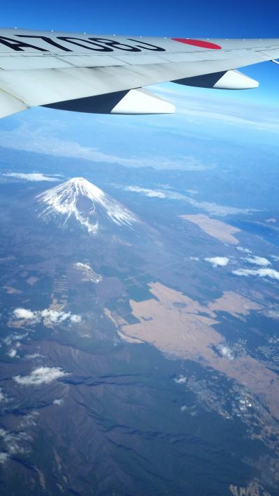 人生初香港2016年の旅始め～♪(^_^)/