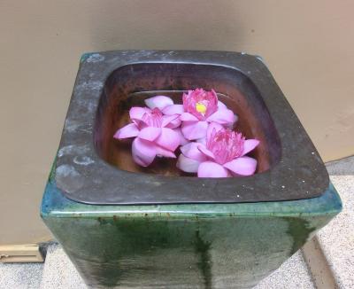 ベトナム世界遺産の旅（最終日のハノイ観光）