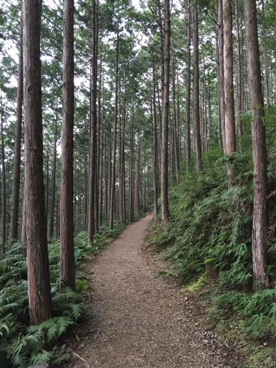 15年　熊野古道　その１