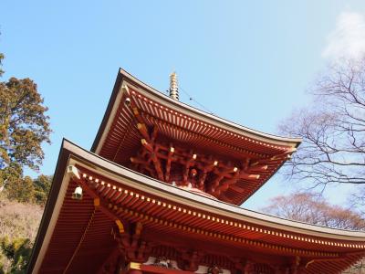 勝運をさずかりに大阪・箕面の勝尾寺へ