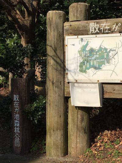 天園ハイキング、鎌倉Ｃ．Ｃ．散在ケ池～建長寺