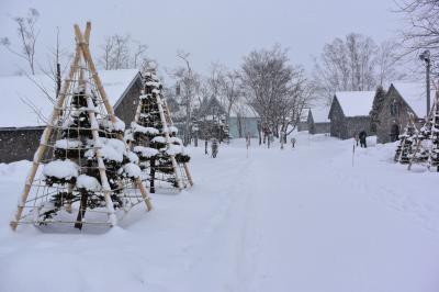 冬の余市から函館を巡る雪道ドライブ（１）