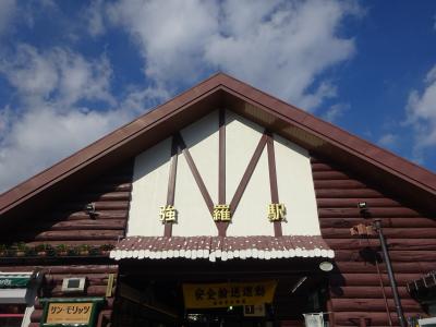 久しぶりの箱根へ～ロマンスカーと箱根登山鉄道でサクッと楽しく行ってきました～