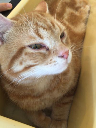 2015年9月 東伊豆～伊豆高原2泊3日の旅 2日目 その①