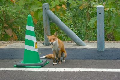 北海道周遊旅2004 余市～室蘭編