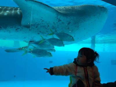 八景島シーパラダイスとアンパンマンミュージアムへ！　Vol.1