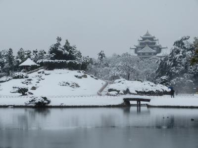 雪の後楽園