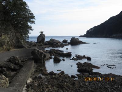 伊豆の下田に春よ来い