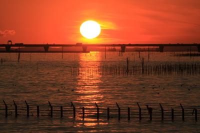 東京湾夕陽鑑賞