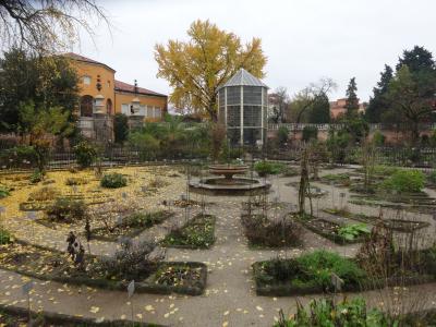 パドヴァ植物園　（屋外）