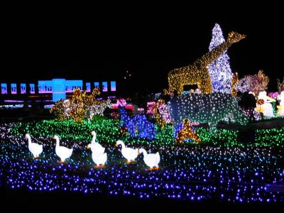 2016年1月 東武動物公園（イルミネーション編）