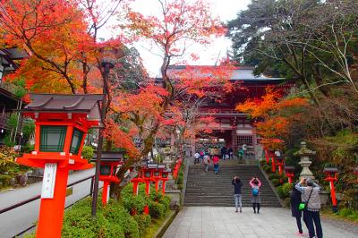 秋の京都　ひとり旅　2015　②