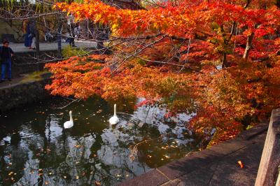 母娘二人広島・岡山旅行！④倉敷散策編