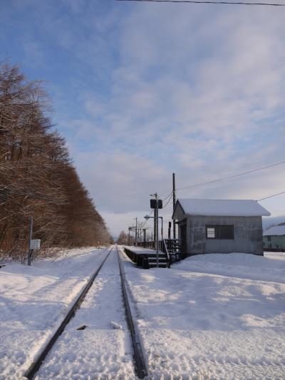 冬の初めの北海道・鉄道ぐるっと７Days　⑬札沼線も乗り倒し・・・のはずが。(最終日・前半戦)