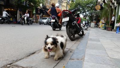 ベトナム戦争と教会と湖