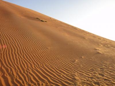 オマーン再訪、ワヒバ沙漠でのんびり 2日目　マスカットから沙漠キャンプ 