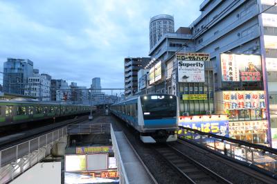 2015.12 関東大回り乗車No.2♪と靖国神社(秋葉原⇒赤羽⇒池袋)-ＪＲ線全線乗りつぶし-