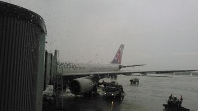 海外　初めての女性一人旅　台湾乗り物編