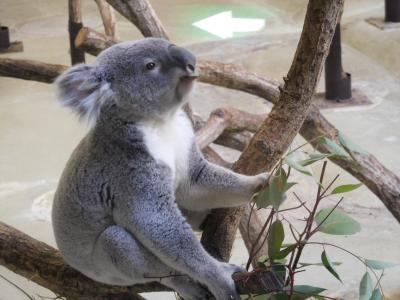 2016年1月 多摩動物公園