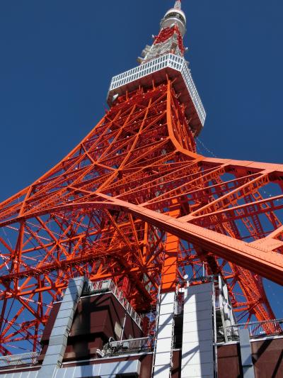 大江戸みどころ８選！隅田川クルーズと浅草・下町散歩ツアー