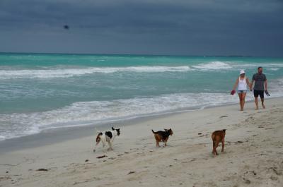 青い海とクラシックカーのキューバへ　3日目　～ハバナ→バラデロ～