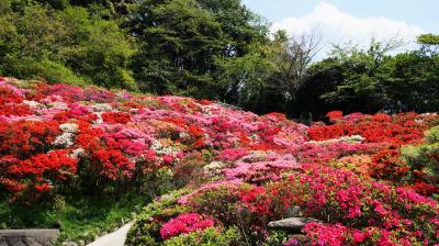 葉山つつじめぐり