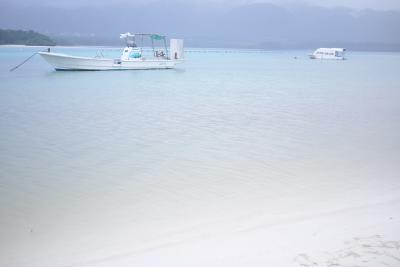 2016年1月　石垣島は雨模様