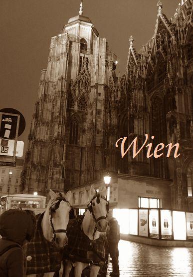 2015～2016　年越しひとり旅（5）　ウィーンへ！！