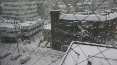 40年に１度の大雪に負けました(笑)ホテル缶詰め体験記in長崎