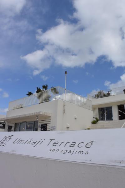 温暖な沖縄へ避寒旅！？冬の沖縄旅行 ２０１６（３／３）