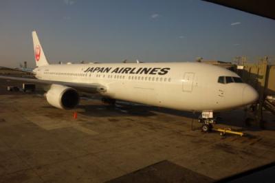 社員旅行で初めてのハワイ!5日め【帰国】