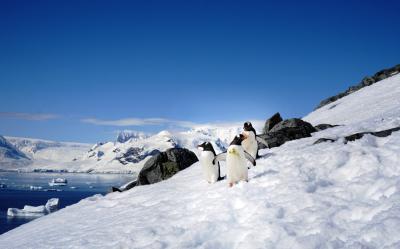 南極を経験する！　シーズン２０１５−２０１６