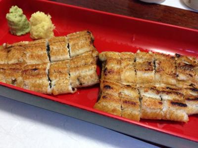 2016年1月 浜名湖(静岡)～浜名湖のうなぎと浜松餃子を食べに行こう～@東急ハーヴェストクラブ浜名湖